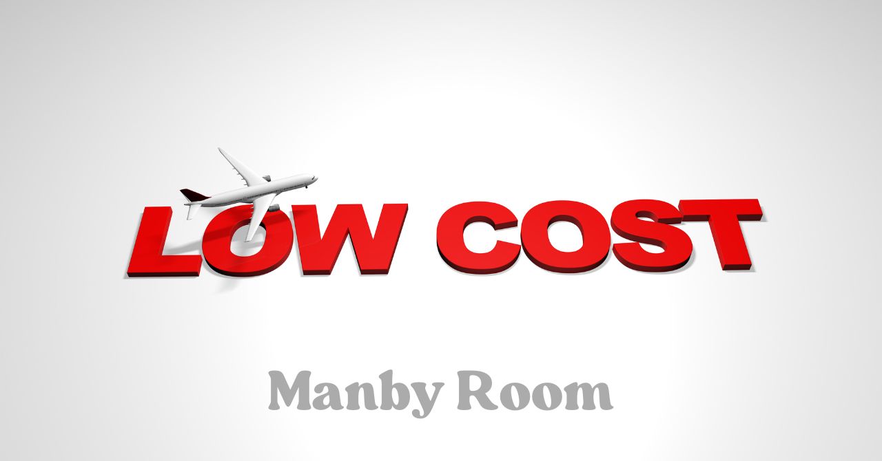 LOW COSTの文字に飛行機が重なる低価格をイメージしたグラフィック