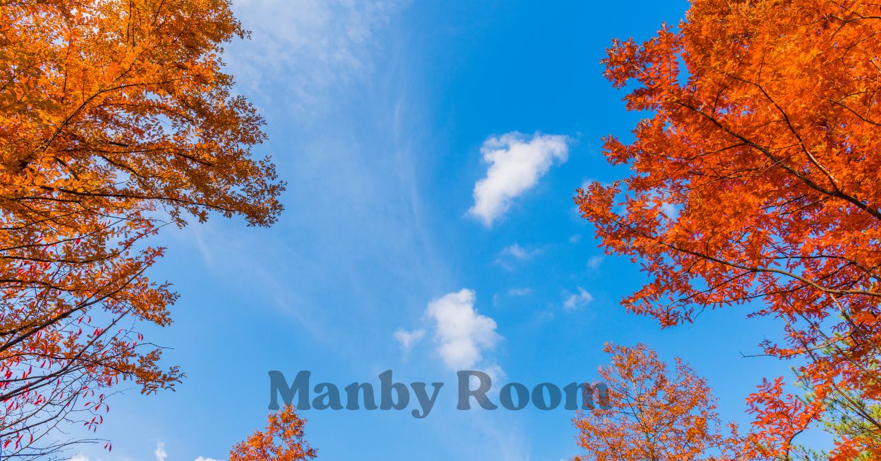 秋に家族で楽しむ休日をイメージした紅葉の写真