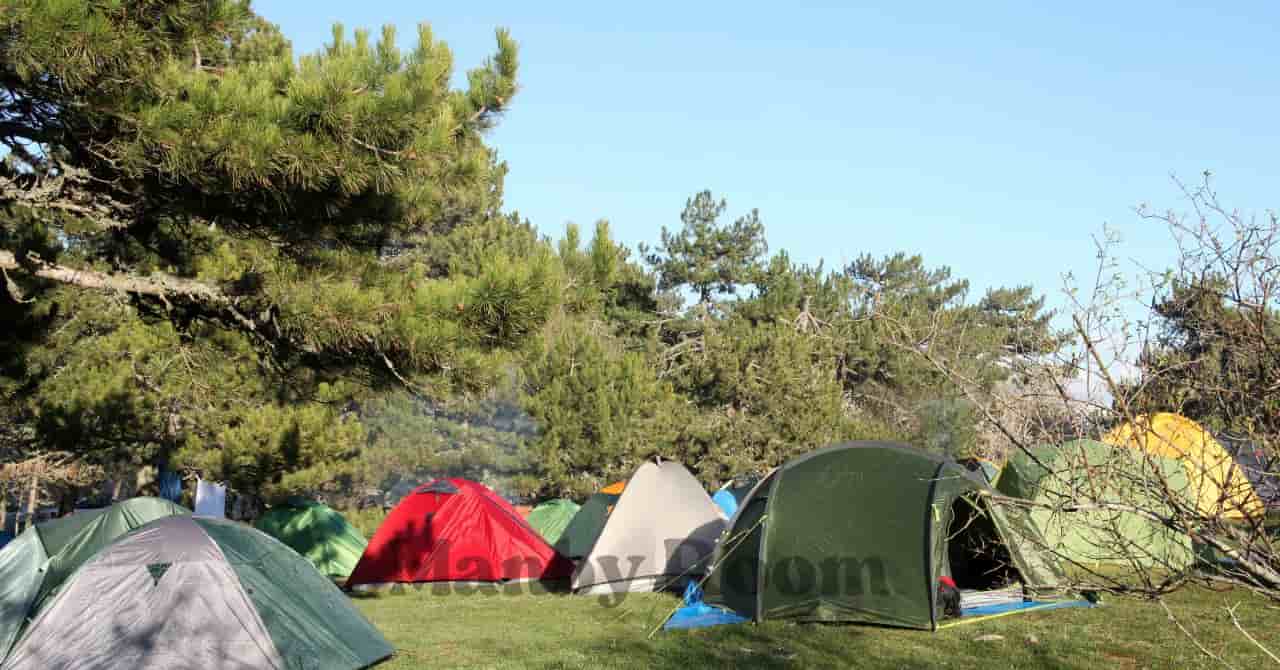 青空の下に色とりどりのテントが並ぶ、人気のキャンプ場の風景 