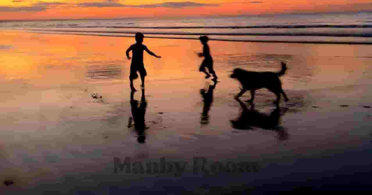 夕焼けの海辺で遊ぶ子どもたちと犬のシルエット。季節を超えて続いていく家族の思い出と、旅の余韻を感じさせる情景。
