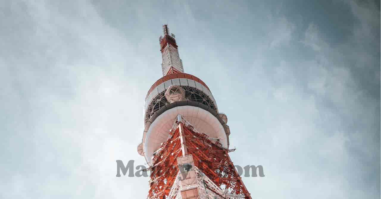東京タワーを下から見上げた構図。関東エリアを象徴するランドマークのイメージ 