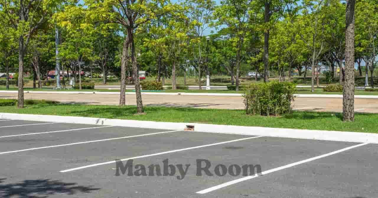 広々とした公園の駐車場と木々の景色。小学生がのびのびと走ったり、冒険ごっこをしたくなるような開放的な空間。 