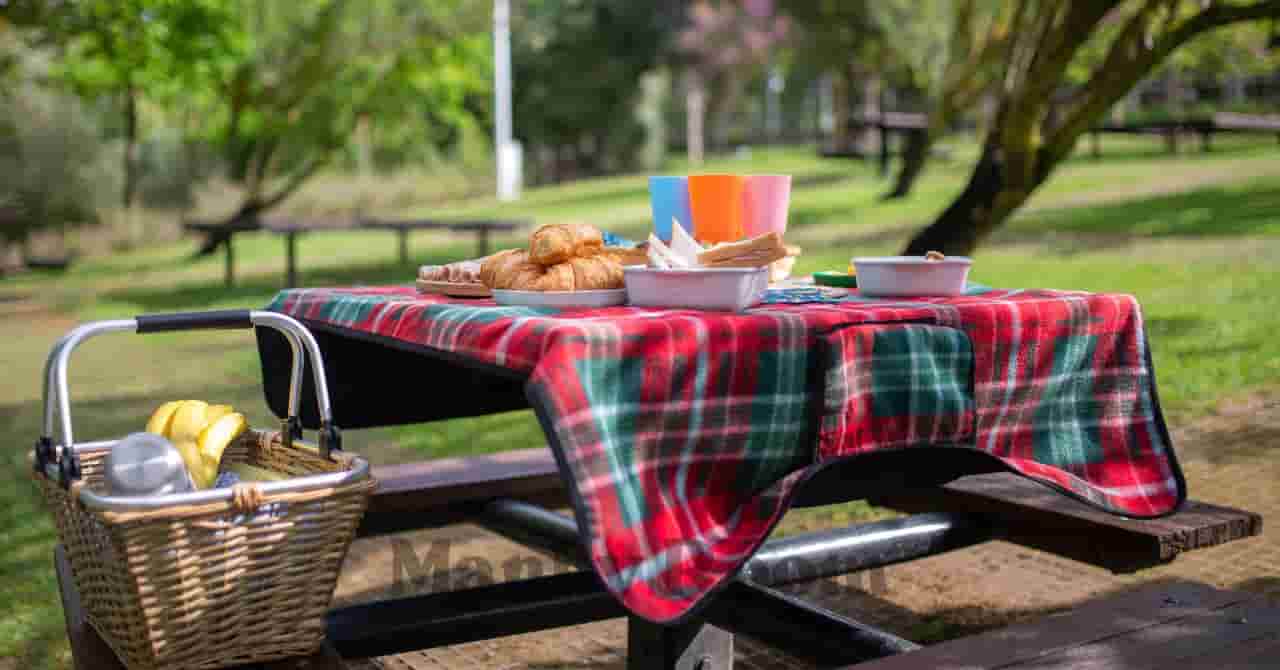 チェック柄のクロスを敷いた公園のテーブルに並ぶ軽食と飲み物。子どもとの外遊びをより楽しくするための工夫を象徴するシーン。 