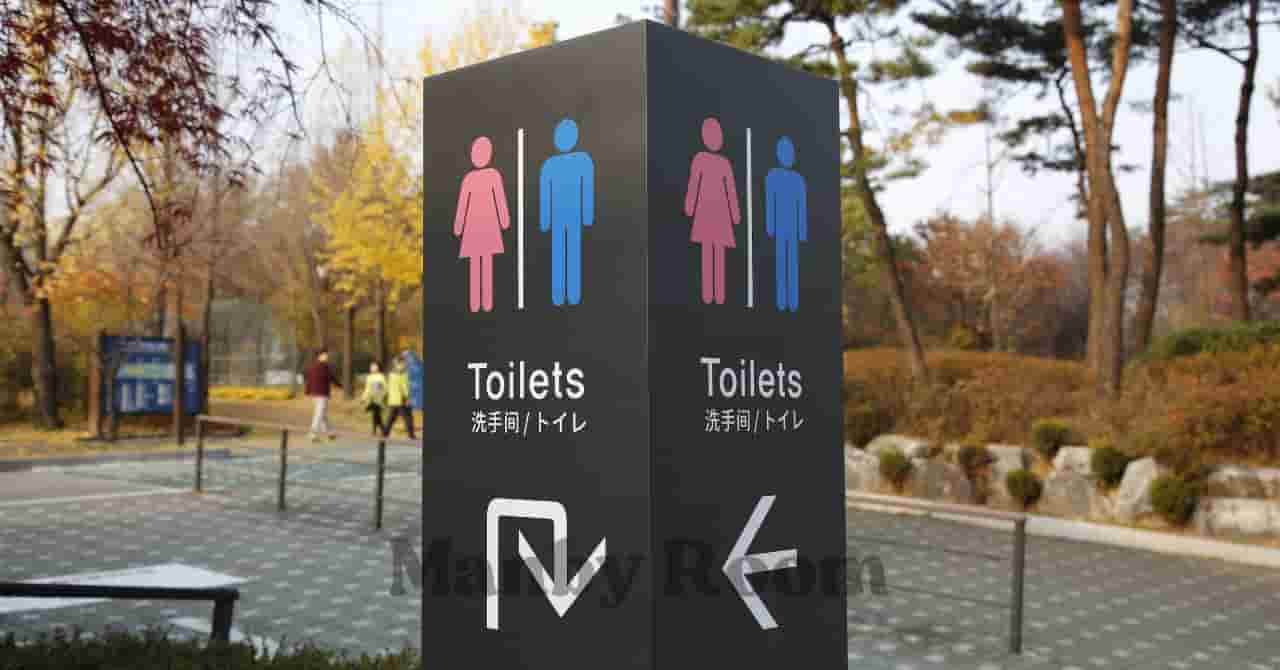 公園内に設置された男女共用トイレの案内看板と秋の風景
