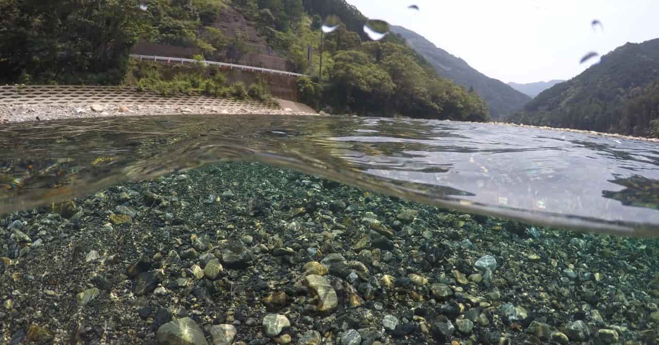 透明度の高い川で水遊びを楽しむ夏の自然風景。水中の石もくっきり見える。