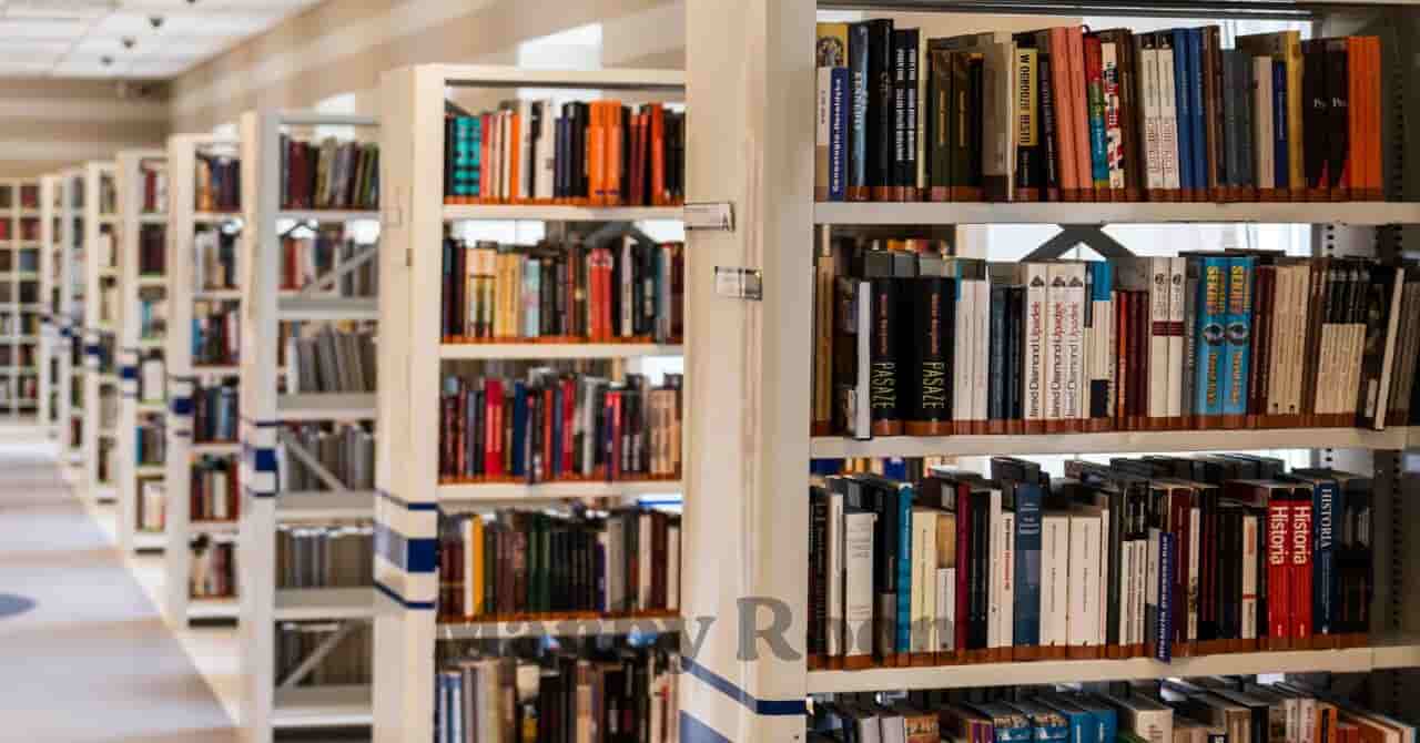 本が並ぶ図書館の棚の風景。図書館が週末のおでかけ先としておすすめな理由を伝えるセクション用イメージ