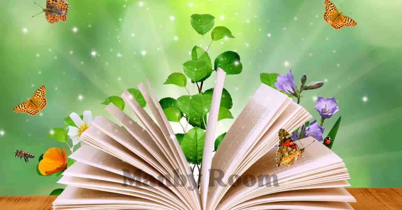 本のページから草花や蝶が飛び出す幻想的なイメージ。図書館おでかけに向いている家族像を紹介するセクション用のイメージ画像